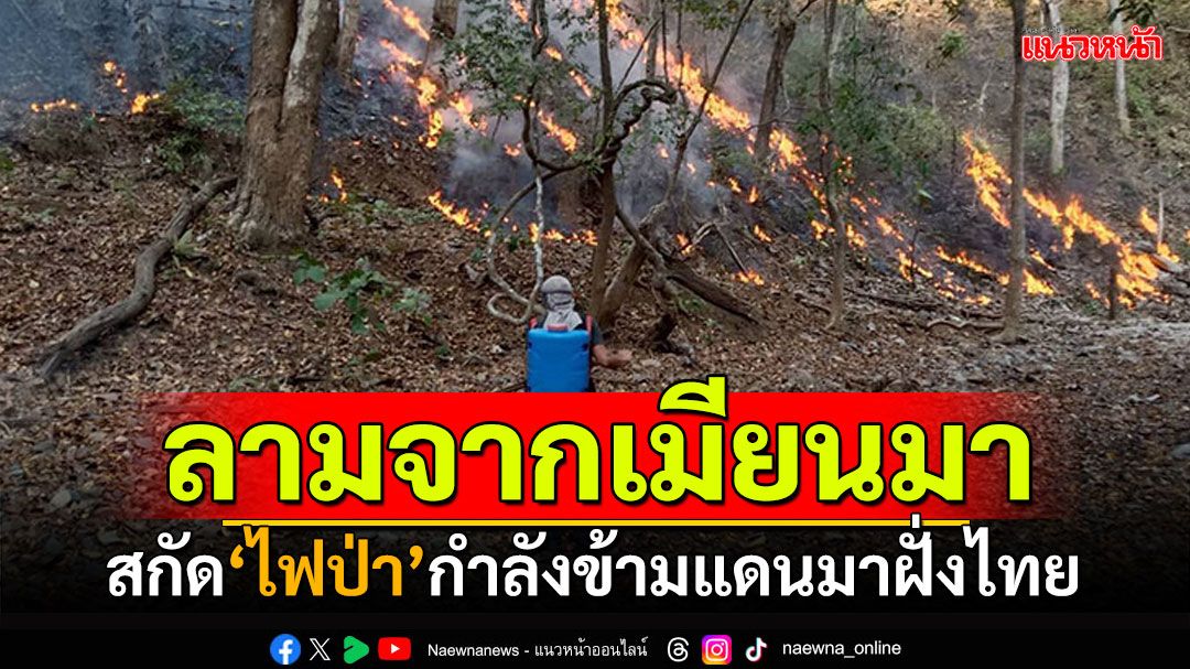 มันมาแล้ว! เร่งด่วนเตรียมสกัด'ไฟป่า' กำลังลามข้ามแดนจากเมียนมา