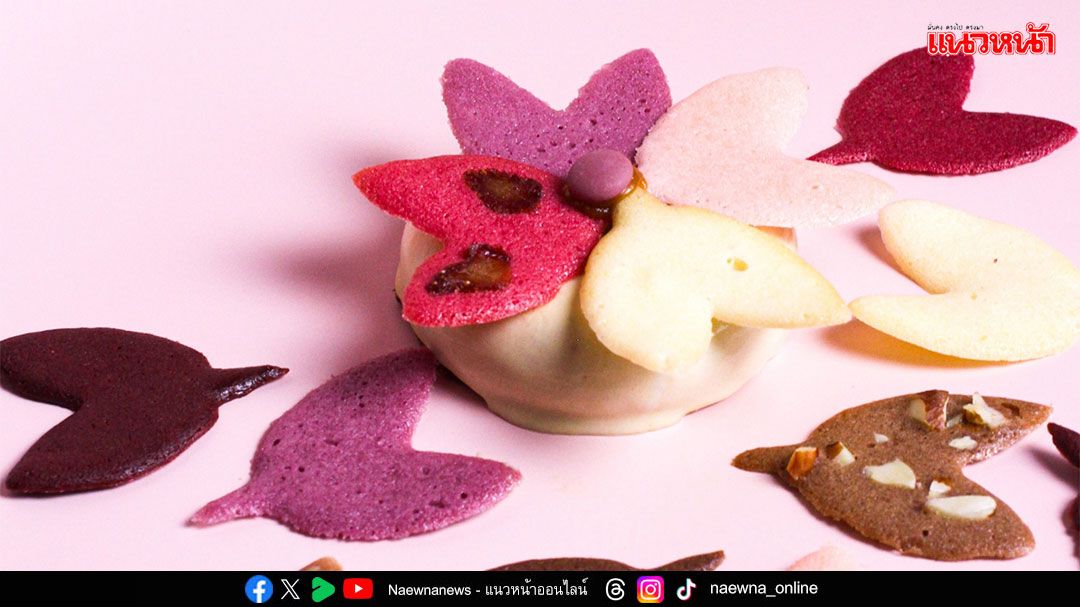 happybirth จับมือ kintaam ชวนผู้หญิงตรวจคัดกรองมะเร็งปากมดลูก ต้อนรับวันสตรีสากล