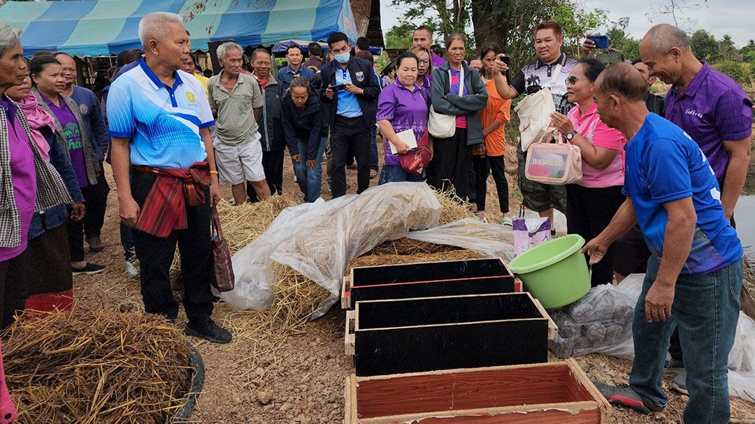 สอนชาวบ้าน'เพาะเห็ดฟาง'เอาไว้กิน-ขาย ลดการเผาฟางข้าว ไม่สร้างฝุ่น PM2.5