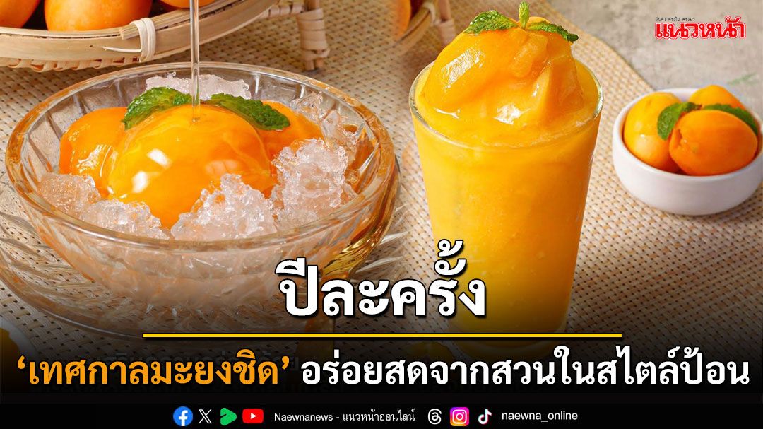 ร้านอาหารป้อน ต้อนรับหน้ากับ ‘มะยงชิดเฟสติวัล’ อร่อยชื่นใจปีละครั้ง