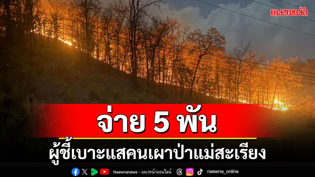 'นายอำเภอแม่สะเรียง'ประกาศให้สินบนนำจับให้คนชี้เบาะแสคนเผาป่ารายละ 5,000 บาท