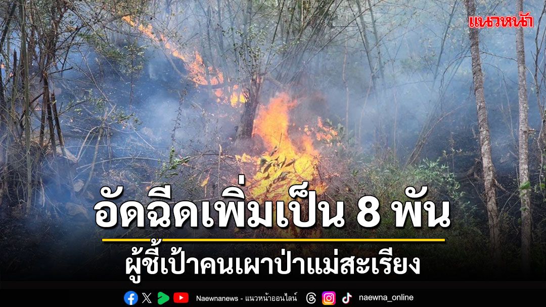 ผู้ว่าฯแม่ฮ่องสอนอัดฉีดเพิ่มผู้ชี้เป้าคนเผาป่าแม่สะเรียงเป็น 8 พันยันจ่ายจริง