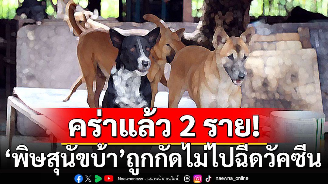 'พิษสุนัขบ้า' คร่าแล้ว 2 ราย ถูกสุนัขกัดแล้ว ไม่ไปพบแพทย์ เพื่อรับการฉีดวัคซีน