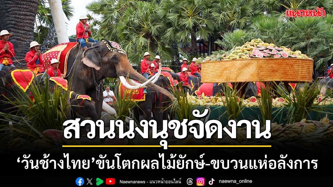 สุดยิ่งใหญ่!! สวนนงนุชจัดงาน ‘วันช้างไทย’ เลี้ยงขันโตกผลไม้ยักษ์-ขบวนแห่อลังการ