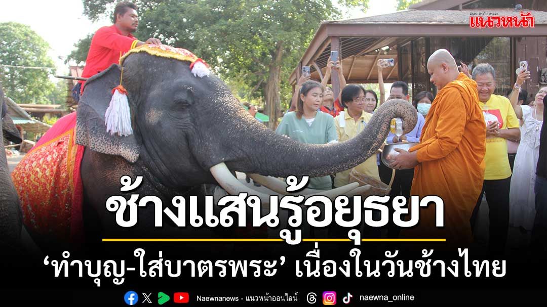 ‘วังช้างอยุธยาฯ’ จัดทำบุญใหญ่-ช้างแสนรู้ใส่บาตรพระ 'เนื่องในวันช้างไทย'