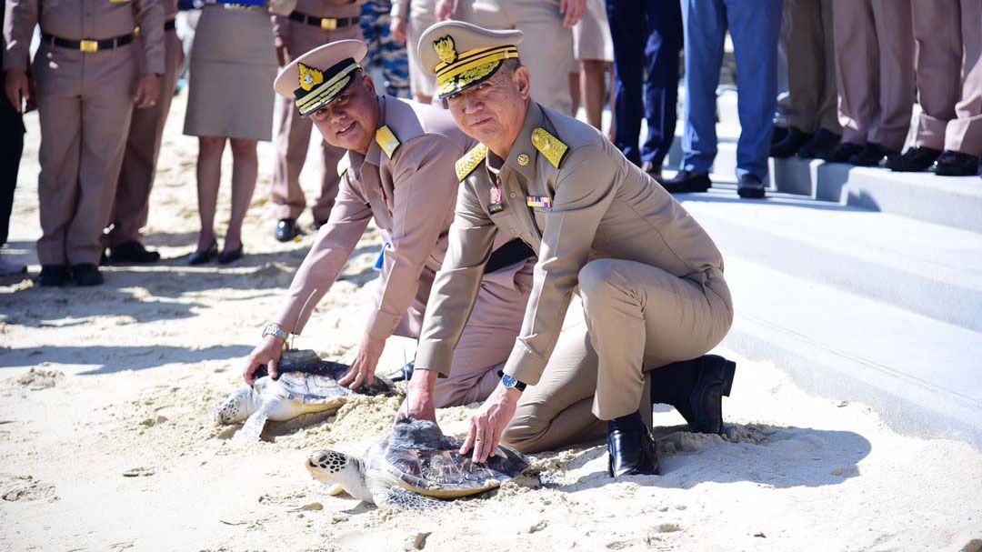 'เฉลิมชัย'ปล่อยเต่าทะเลพระราชทานคืนสู่ธรรมชาติ สนองพระราชปณิธานอนุรักษ์ทรัพยากรทะเล