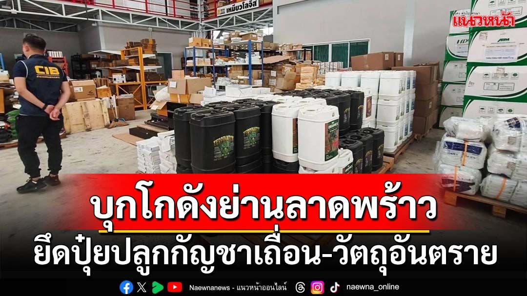 ‘ปคบ.’บุกโกดังย่านลาดพร้าว ยึดปุ๋ยปลูกกัญชาเถื่อน-วัตถุอันตราย มูลค่า 6.4 ล้าน