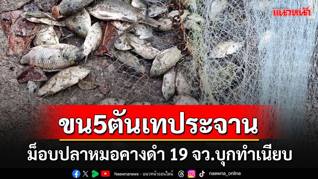 'ม็อบปลาหมอคางดำ'19 จังหวัดบุกทำเนียบ ขู่ขน 5 ตันเทประจานรัฐบาล