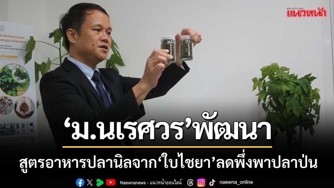 ม.นเรศวรพัฒนา ‘สูตรอาหารปลานิลจากใบไชยา’ เพิ่มโอเมกา3-ลดพึ่งพาปลาป่น