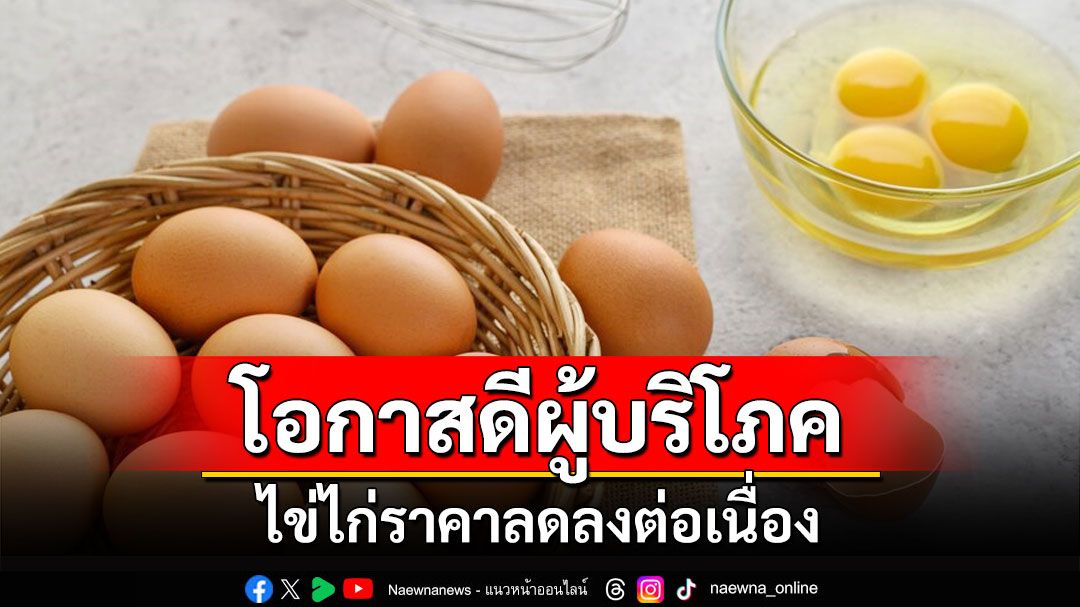 ไข่ไก่ราคาลดลงต่อเนื่องสวนทางต้นทุน โอกาสดีผู้บริโภค