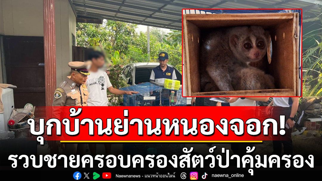 บุกบ้านพักย่านหนองจอก รวบชายวัย 37 ครอบครองสัตว์ป่าคุ้มครองใกล้สูญพันธุ์ 6 ตัว