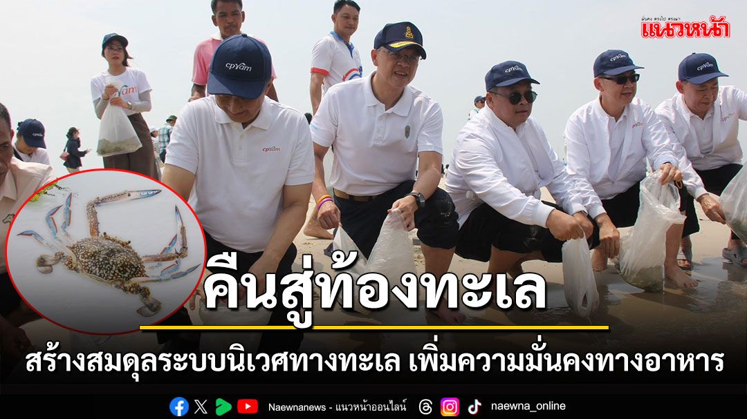 ผู้ว่าฯ สุราษฎร์ธานีร่วมปล่อยลูกปูม้า 200,000 ตัว คืนสู่ธรรมชาติ ตามโครงการปูม้ายั่งยืน คู่ทะเลไทย ปีที่ 13