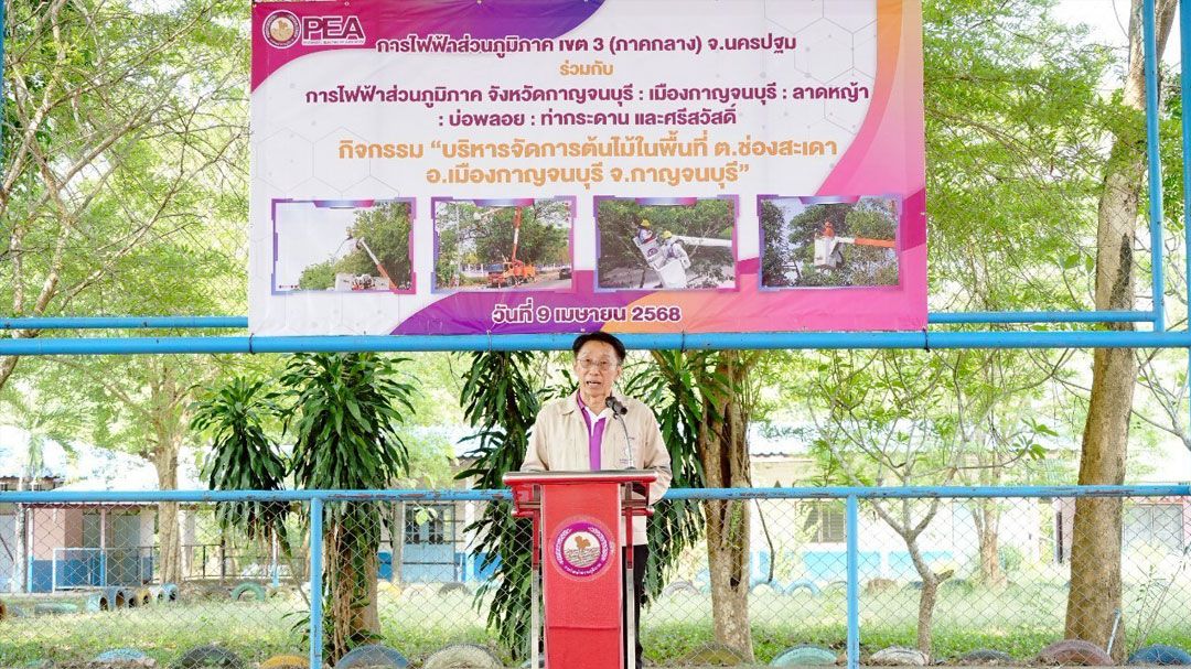 PEA เสริมความมั่นคงระบบไฟฟ้า ลดกระแสไฟฟ้าขัดข้องสาเหตุจากต้นไม้ใหญ่ในพื้นที่ วัดหมอเฒ่า