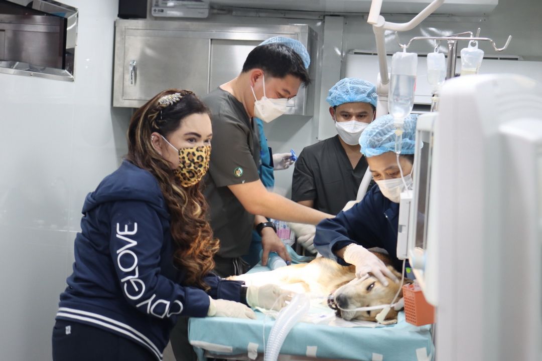 พระปณิธานเพื่อปวงประชาและสรรพสัตว์...สู่การกำจัดโรคพิษสุนัขบ้าที่ยั่งยืน