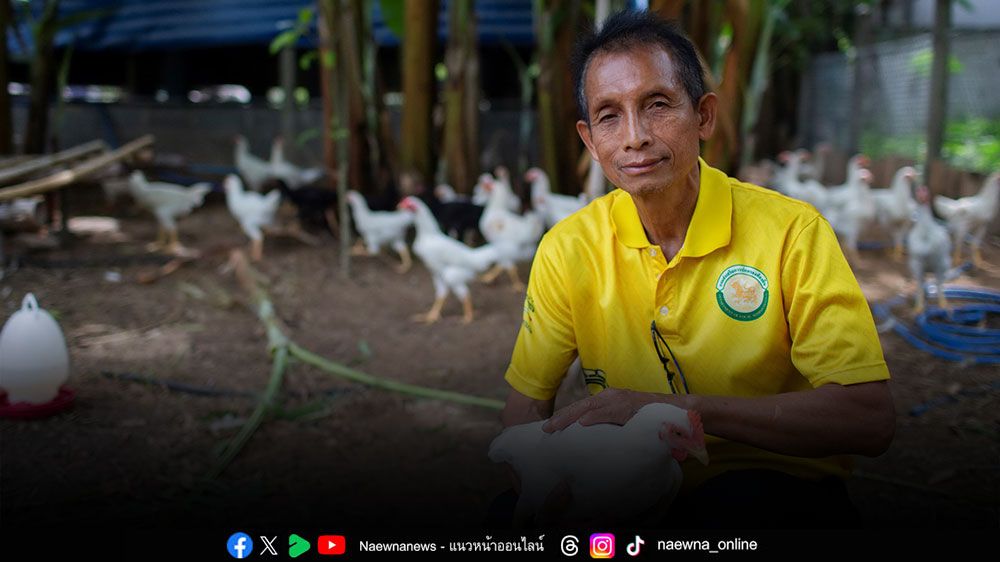 องค์กรพิทักษ์สัตว์แห่งโลก ปฏิวัติการเลี้ยงไก่ไทยอย่างยั่งยืน สร้าง จ.สุรินทร์ ให้เป็นพื้นที่นำร่องเลี้ยงไก่โคราช