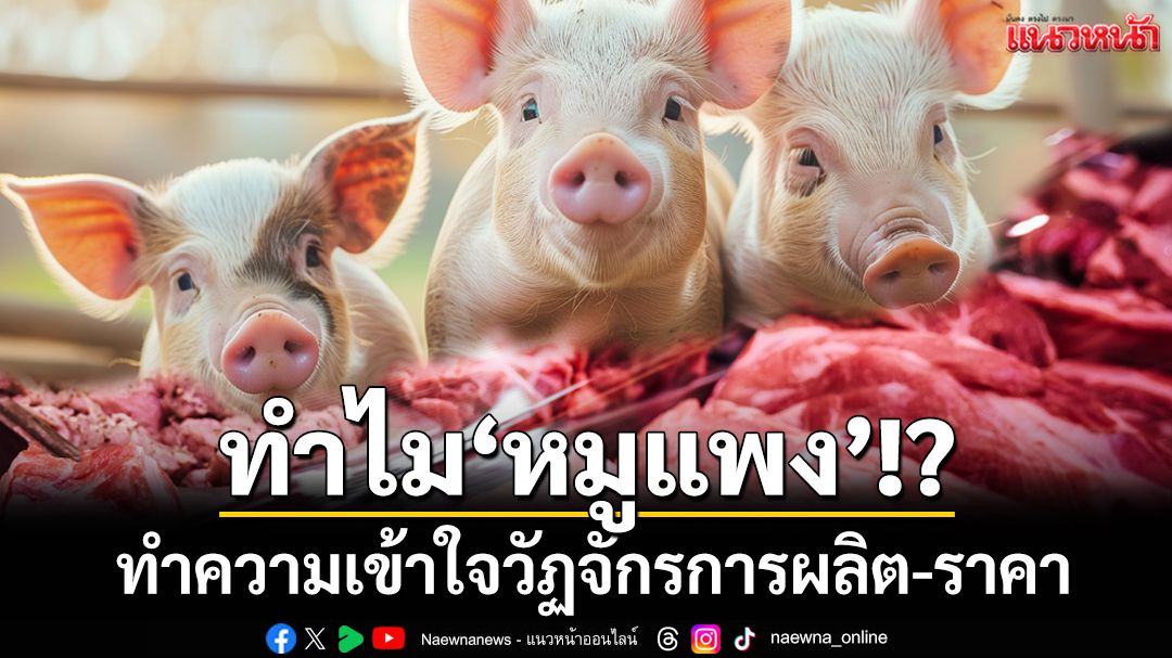 ทำไม‘หมูแพง’!? ทำความเข้าใจวัฏจักรการผลิต-กลไกราคา แค่สถานการณ์ชั่วคราว