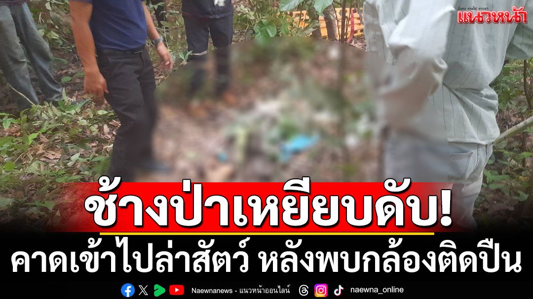 ช้างป่าเหยียบคนเสียชีวิต คาดเข้าไปล่าสัตว์ หลังพบกล้องติดปืน-คดีเก่าล่าสัตว์
