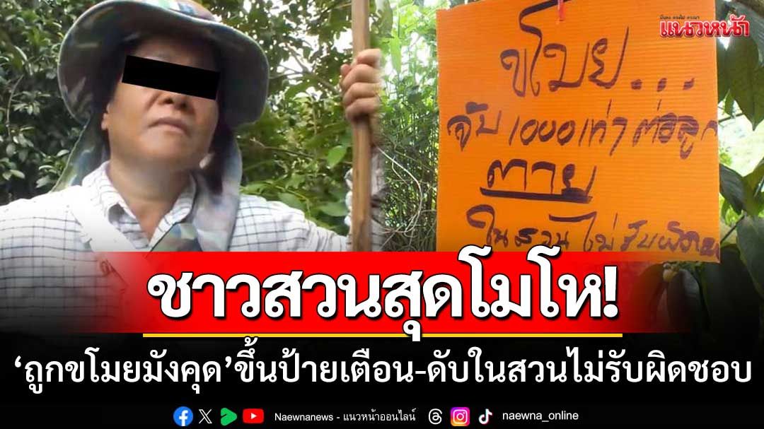 สุดโมโหถูกขโมยมังคุด! 'ขึ้นป้ายเตือน' ขโมยจับพันเท่าต่อลูก-ดับในสวนไม่รับผิดชอบ