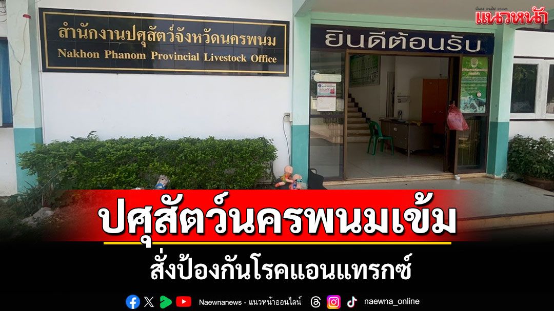 ปศุสัตว์นครพนมยกการ์ดสูงตั้งกำแพงกั้นโรคแอนแทรกซ์ เตือนสายซกเล็กงดบริโภคดิบ