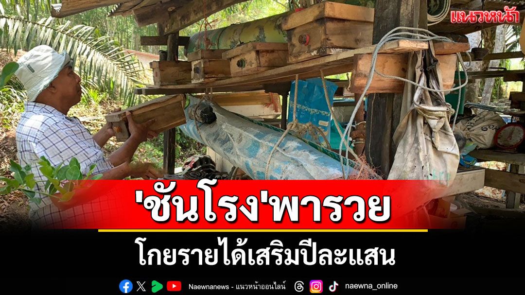 'ชันโรง'พารวย! เกษตรกรตรังใช้ภูมิปัญญาเลี้ยงผึ้งจิ๋วข้างบ้านรายได้เสริมโกยปีละแสน