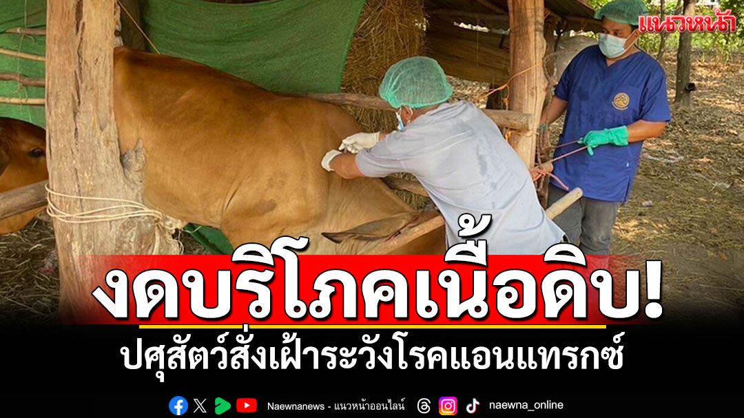 งดบริโภคเนื้อดิบ! กรมปศุสัตว์เตือนเกษตรกร เฝ้าระวังโรคแอนแทรกซ์