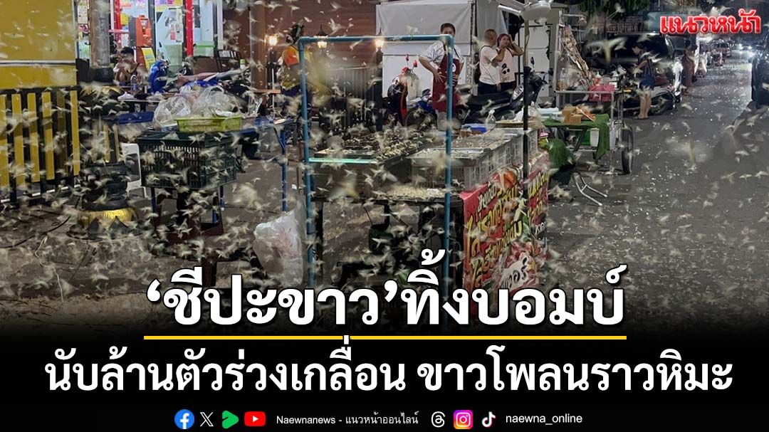 ‘แมลงชีปะขาว’นับล้านบินเล่นแสงไฟ ร่วงเกลื่อนถนน‘นครพนม’ขาวโพลนราวหิมะ