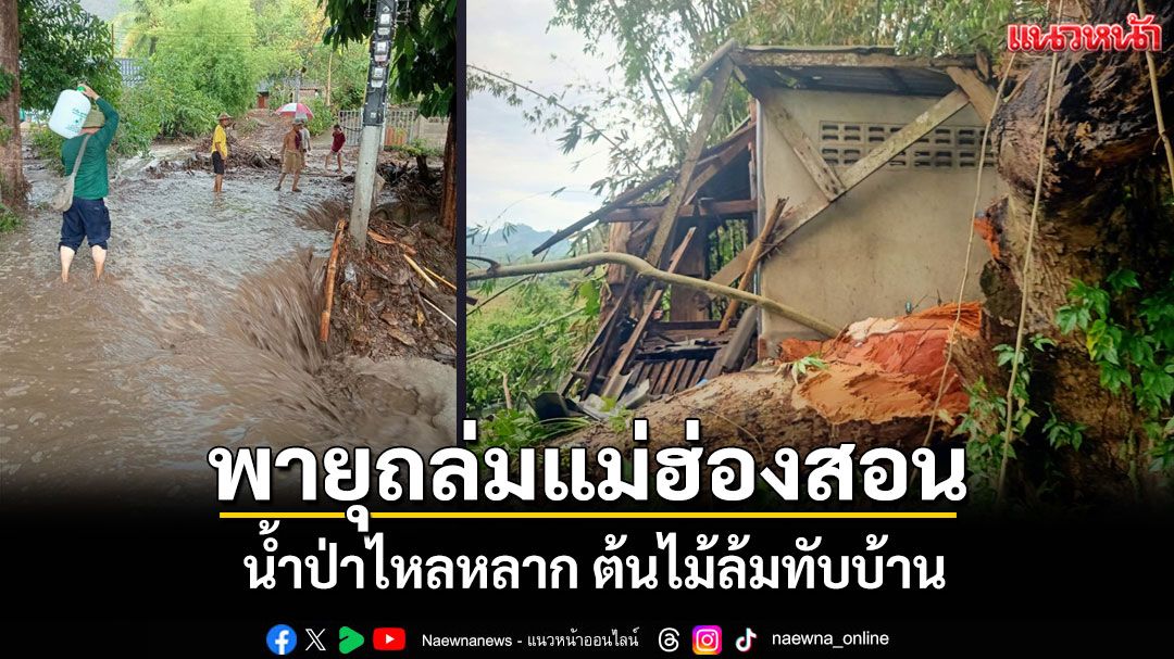พายุฝนถล่มแม่ฮ่องสอนกลางดึก น้ำป่าไหลหลาก ต้นไม้ล้มเสียหายหลายจุด