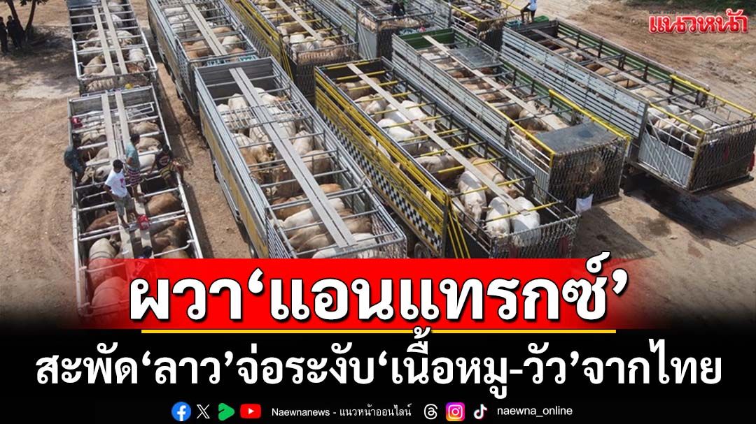 ผวา‘แอนแทรกซ์’! สะพัด‘ลาว’จ่อระงับ‘เนื้อหมู-วัว’จากไทย ‘นครพนม’ตรวจยิบก่อนข้ามแดน