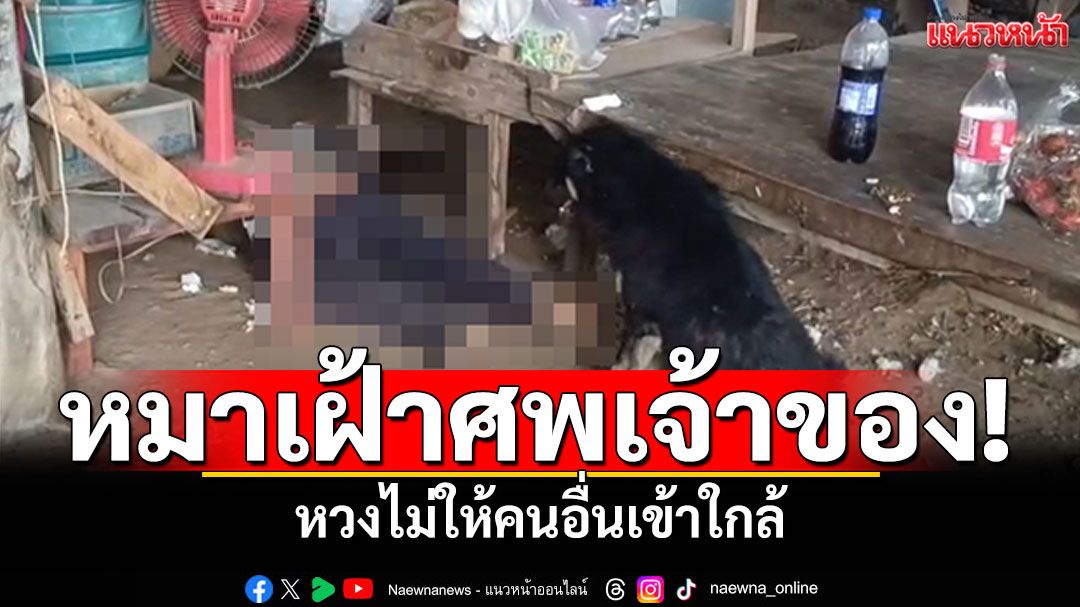 สุนัขเฝ้าศพ! หนุ่มใหญ่นอนขึ้นอืด 'เจ้าอ้วน'หวงเจ้าของไม่ให้คนอื่นเข้าใกล้