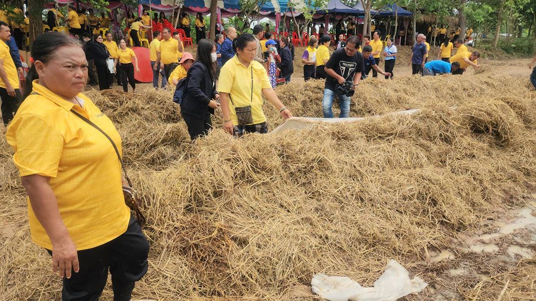 เห็ดฟางฝึกอาชีพโครงการ ‘รักศรัทธา’  ใช้เวลาแค่ 4 วัน ขายได้ร่วมหมื่นบาท