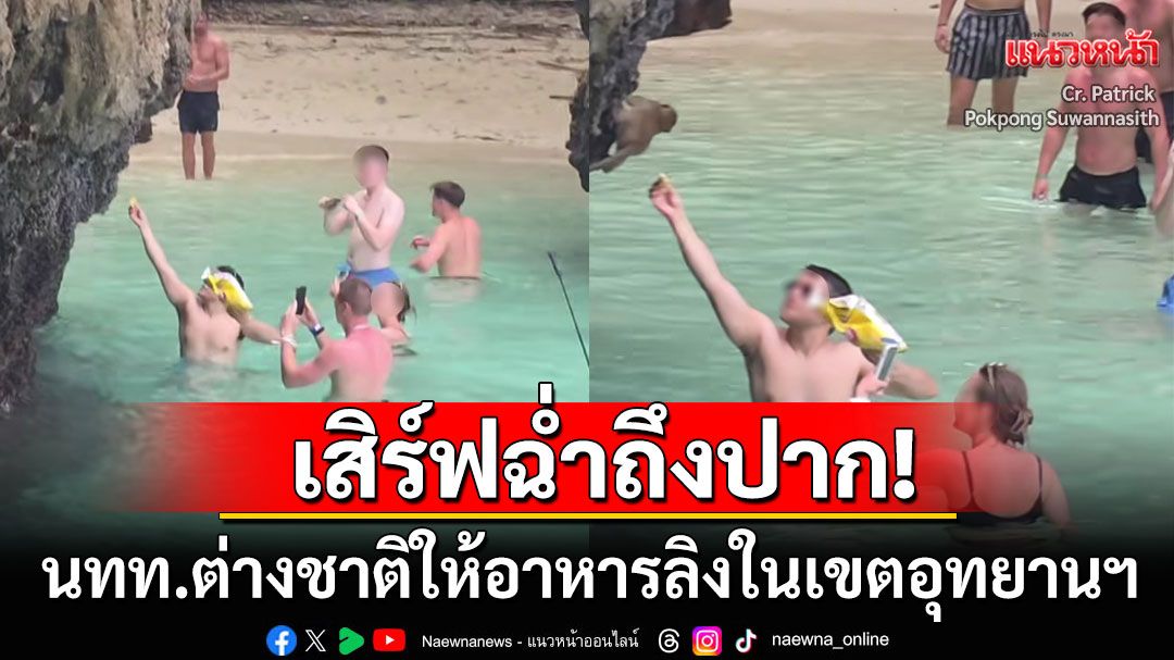 ไกด์หายไปไหน!? นทท.ต่างชาติให้อาหารลิงฉ่ำ ยื่นป้อนถึงปากมีคนตะโกนห้ามยังไม่ฟัง