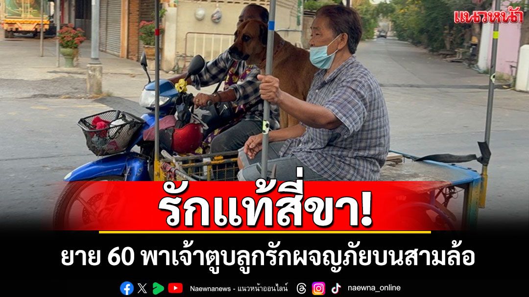 ยายวัย 60 ปีสุดผูกพันหอบ'ลูกรัก'สี่ขานั่งสามล้อจากชัยนาทเที่ยวอ่างทอง