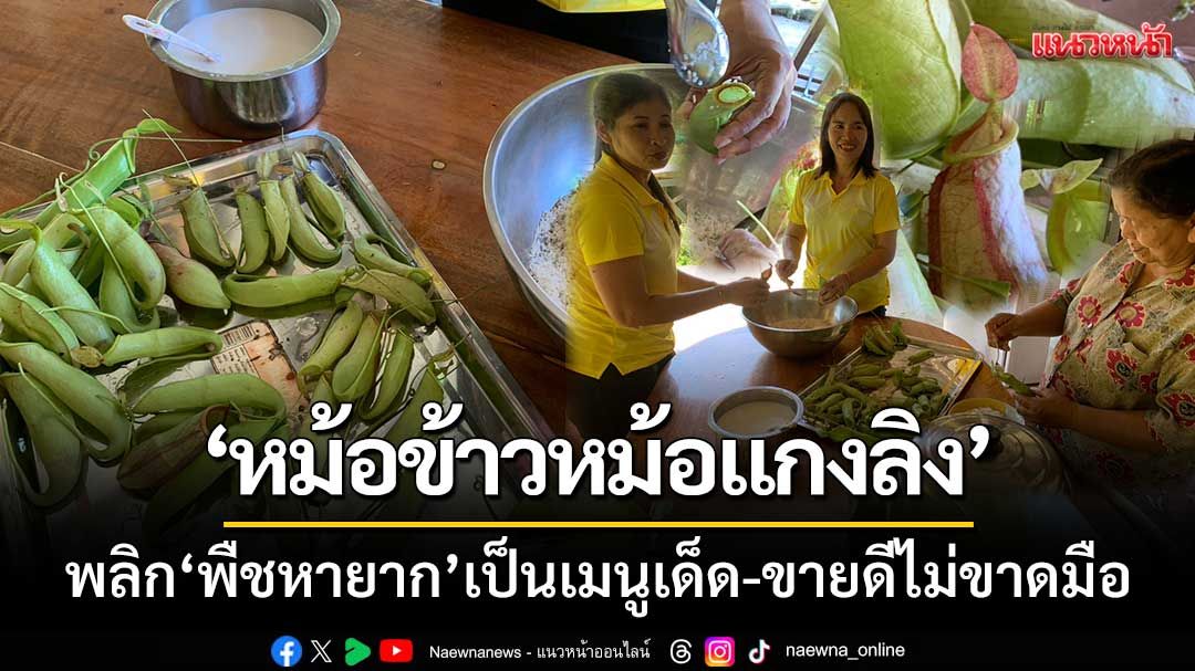 มหัศจรรย์! 'หม้อข้าวหม้อแกงลิง' ชาวบ้านพลิกพืชหายากเป็นเมนูเด็ด-ขายดีไม่ขาดมือ