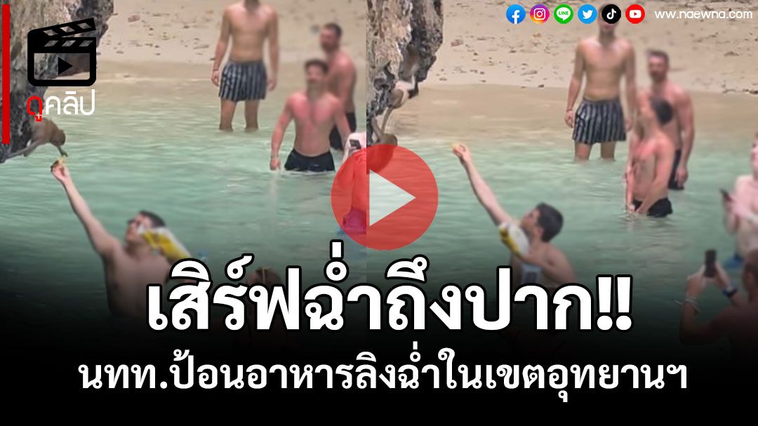 (คลิป) เสิร์ฟฉ่ำถึงปาก!! นทท.ต่างชาติให้อาหารลิงในเขตอุทยานฯ
