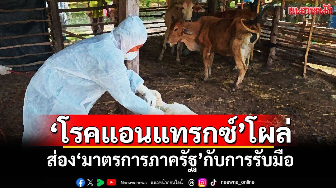 แนวหน้าวิเคราะห์ : ‘โรคแอนแทรกซ์’โผล่ ส่อง‘มาตรการภาครัฐ’กับการรับมือ