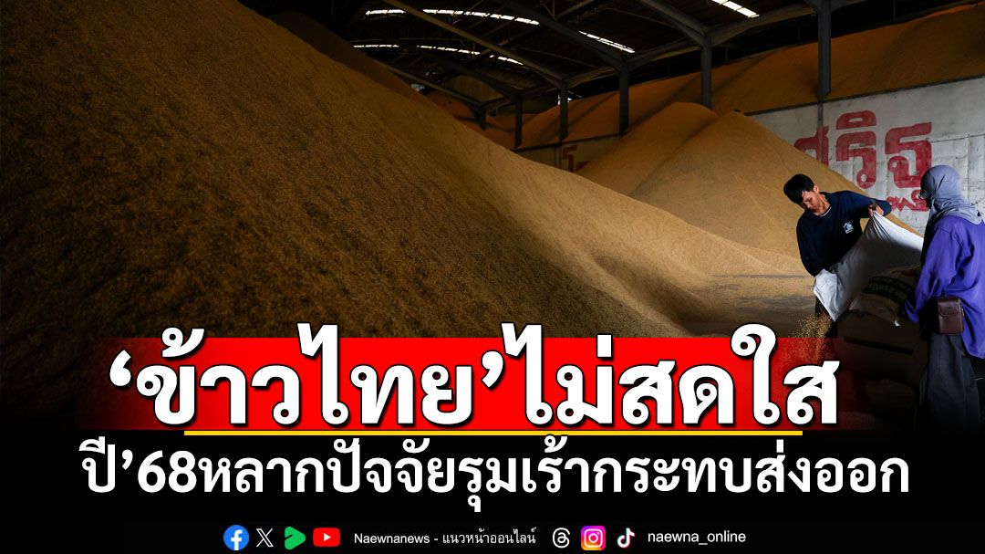 ‘ข้าวไทย’ไม่สดใส! สื่อจีนตีข่าวปี’68หลากปัจจัยรุมเร้ากระทบส่งออก