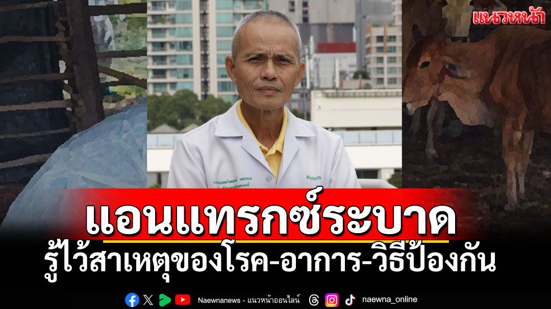 TSPCAเตือนภัย'โรคแอนแทรกซ์'ระบาด รู้ไว้สาเหตุของโรค-อาการ-วิธีป้องกัน