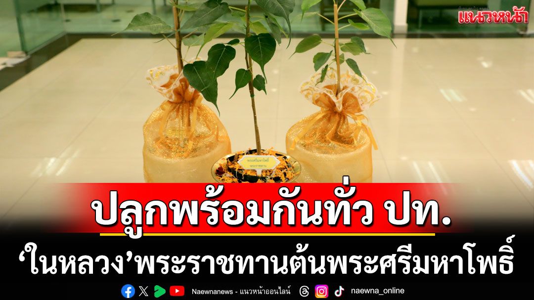 'ในหลวง'พระราชทานต้นพระศรีมหาโพธิ์ ปลูก 77 จังหวัดพร้อมกันทั่วประเทศ
