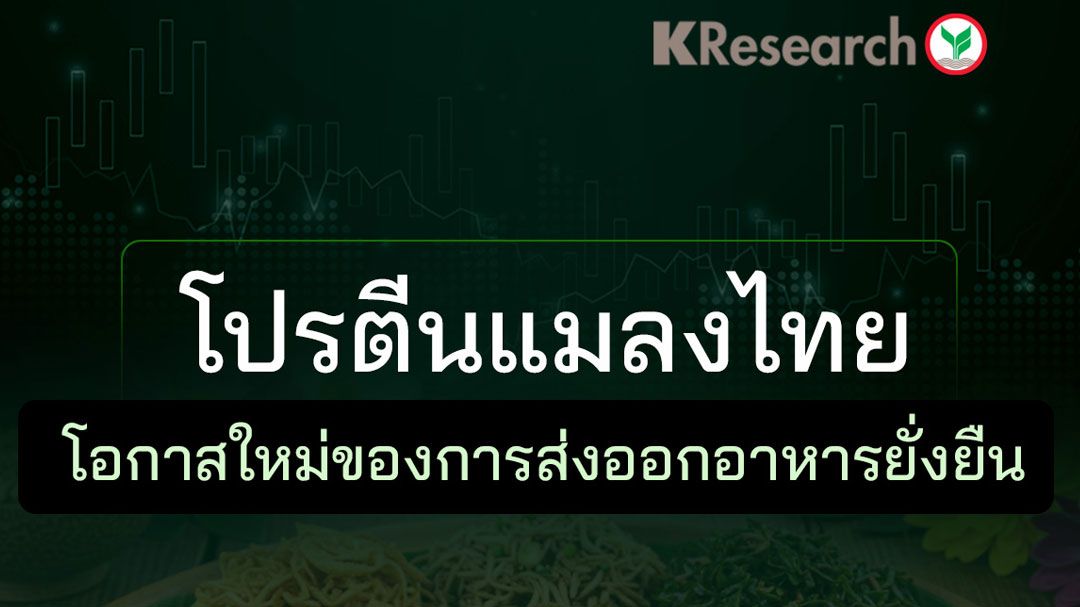 โปรตีนแมลงไทย โอกาสใหม่ของการส่งออกอาหารยั่งยืน
