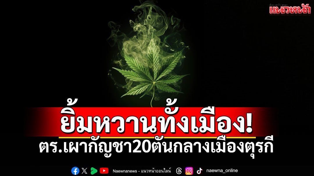 ควันกัญชาคลุ้งเมือง! ชาว Lice ตุรกีอ่วม หลังตำรวจเผาของกลาง 20 ตัน