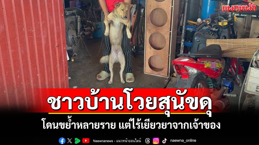 ป้าช้ำถูกสุนัขรุมขย้ำบาดเจ็บ แต่ไร้เหลียวแลจากเจ้าของ แฉชาวบ้านโดนกัดกว่า 10 ราย