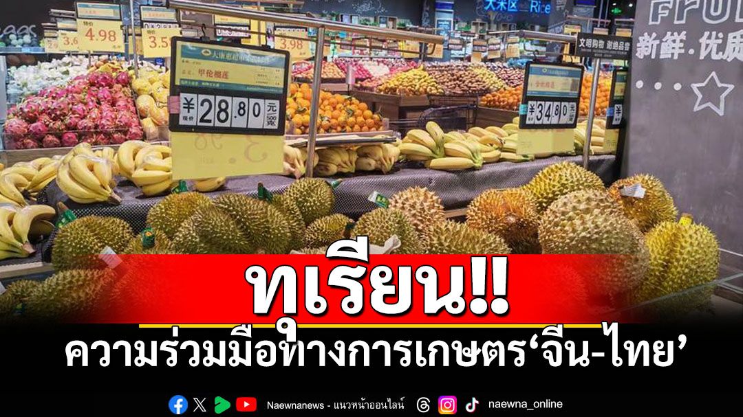 มองความร่วมมือการเกษตร'จีน-ไทย' ผ่านราชาผลไม้'ทุเรียน'