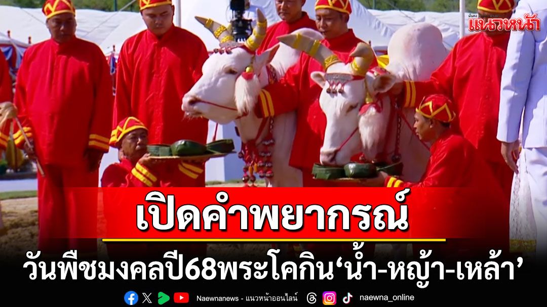 ผลเสี่ยงทาย! 'พระโคพอ-พระโคเพียง'เลือกกินอะไร ในพระราชพิธีจรดพระนังคัลแรกนาขวัญ2568
