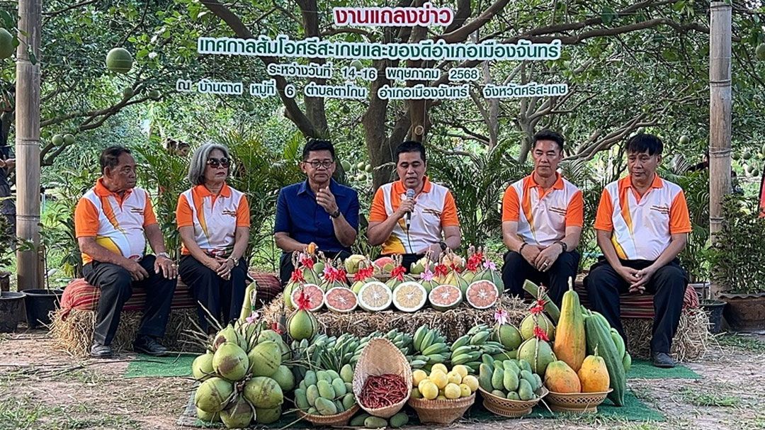 ศรีสะเกษดัน 'ส้มโอบ้านตาด' เป็นแหล่งท่องเที่ยวชุมชน จัดงานใหญ่ 14-16 พ.ค.