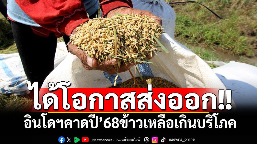 ได้โอกาสส่งออก! ‘อินโดนีเซีย’เผยปี’68คาดผลผลิตข้าวเหลือเกินบริโภคในปท.