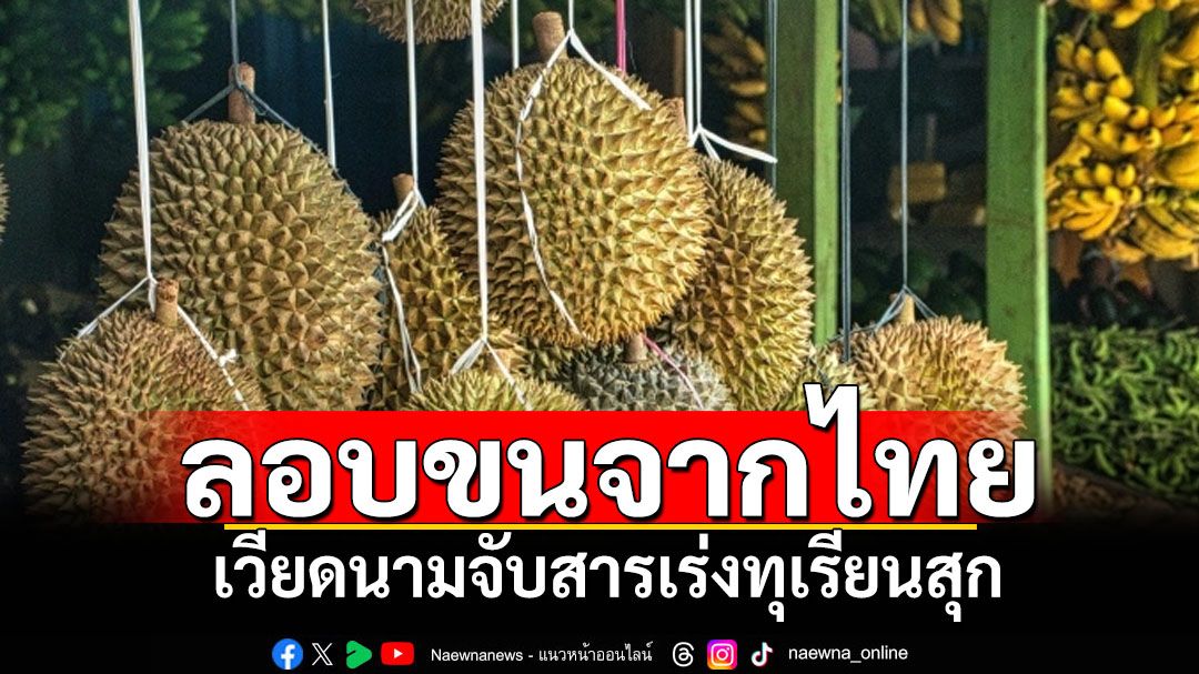 ‘เวียดนาม’จับชาย2คน ลอบขนสารเร่งทุเรียนสุกจากไทยเข้าประเทศ