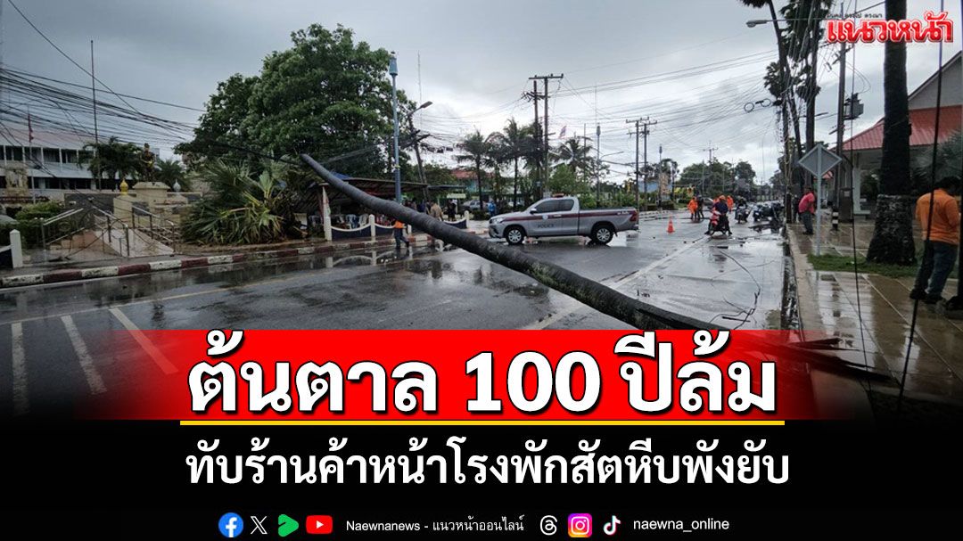 พายุฝนถล่มซัดต้นตาล 100 ปีหักโค่นล้มพาดสายไฟ-ร้านค้าหน้าโรงพักสัตหีบพังยับ