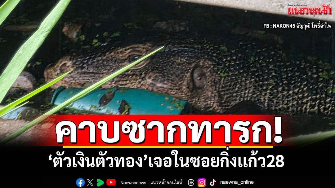 สลด! พบตัวเงินตัวทองใหญ่มาก คาบ'ซากเด็ก'ในซอยกิ่งเเก้ว28