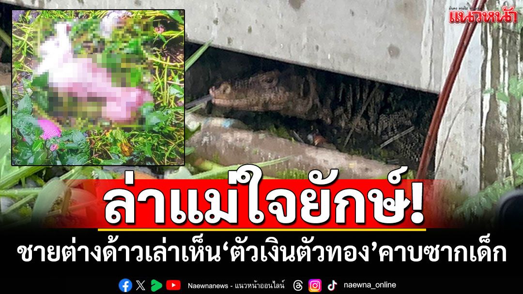 ล่าแม่ใจยักษ์! ชายต่างด้าวเล่าเห็นกับตา 'ตัวเงินตัวทอง'ลากซากทารกมากิน
