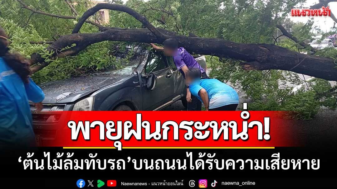 พายุฝนกระหน่ำพิษณุโลก ‘ต้นไม้ล้มทับรถยนต์’ ขณะวิ่งบนถนน-ได้รับความเสียหาย